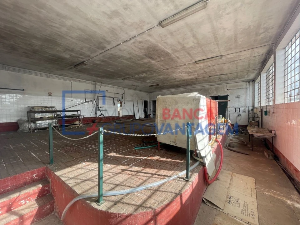 Armazém para Venda em Avis Foto 25