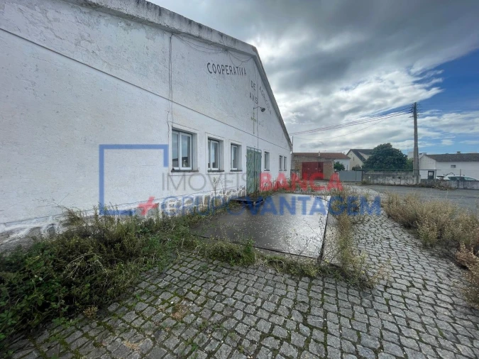 Armazém para Venda em Avis Foto 12