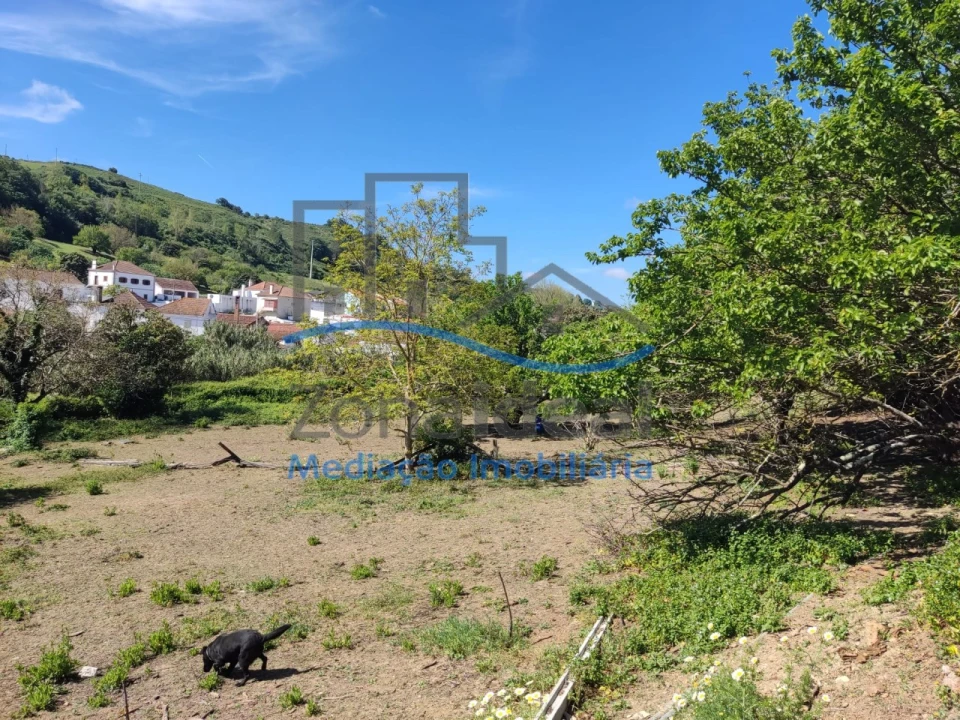 Moradia T4 para Venda em Ribafria e Pereiro de Palhacana Foto 15