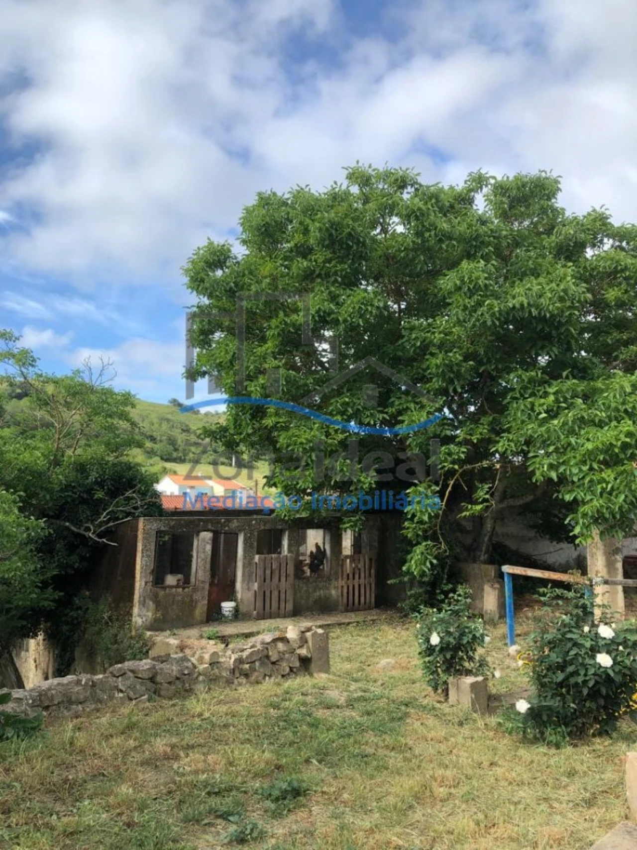 Moradia T4 para Venda em Ribafria e Pereiro de Palhacana Foto 19