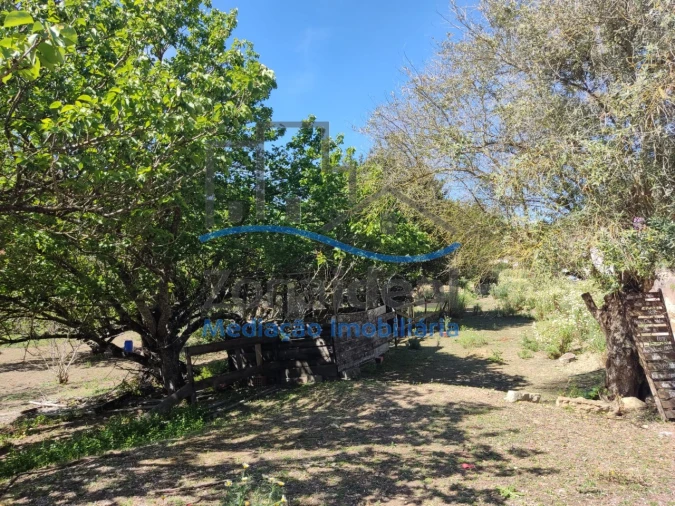 Moradia T4 para Venda em Ribafria e Pereiro de Palhacana Foto 17