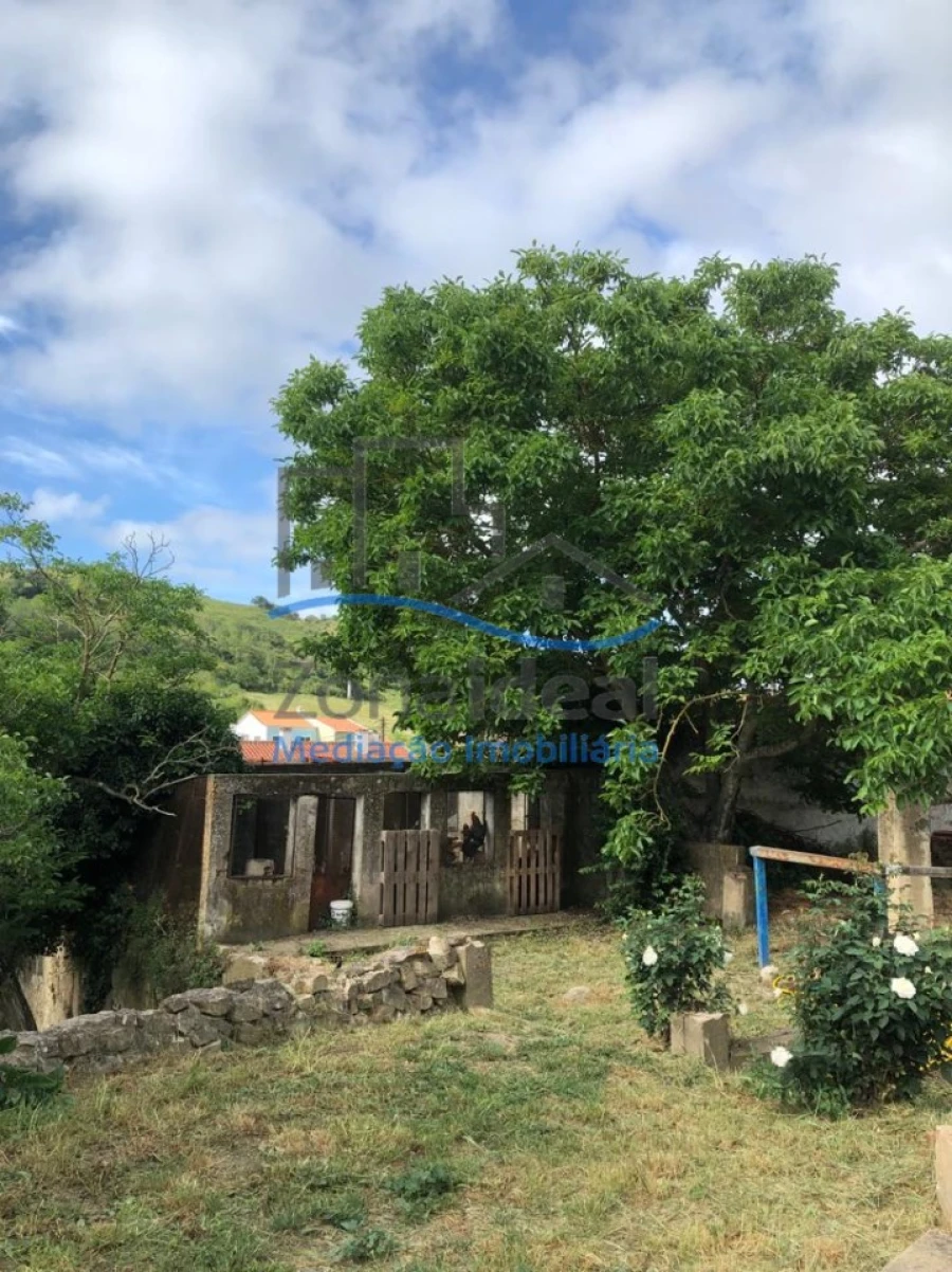 Moradia T4 para Venda em Ribafria e Pereiro de Palhacana Foto 19