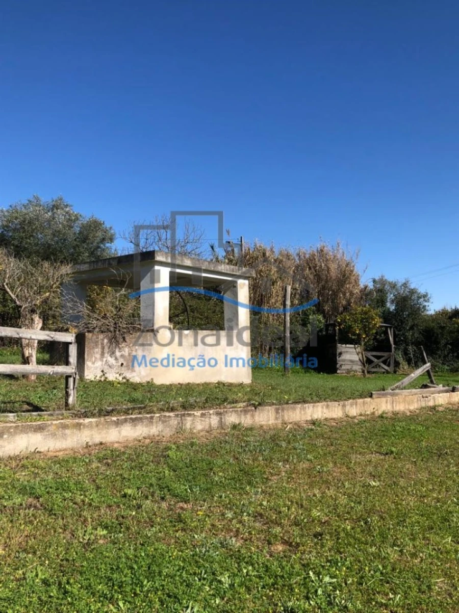 Moradia T4 para Venda em Ribafria e Pereiro de Palhacana Foto 20