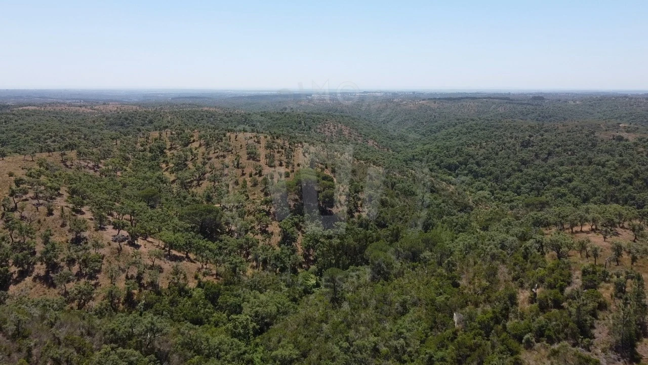 Quinta para Venda em São Francisco da Serra Foto 1