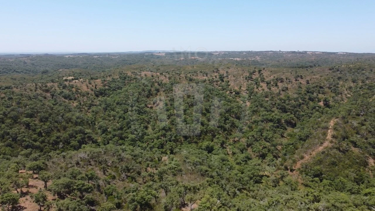 Quinta para Venda em São Francisco da Serra Foto 7