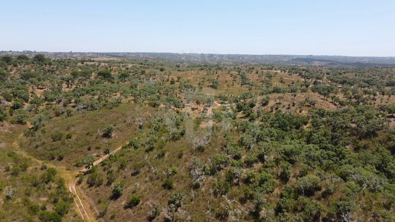 Quinta para Venda em São Francisco da Serra Foto 9