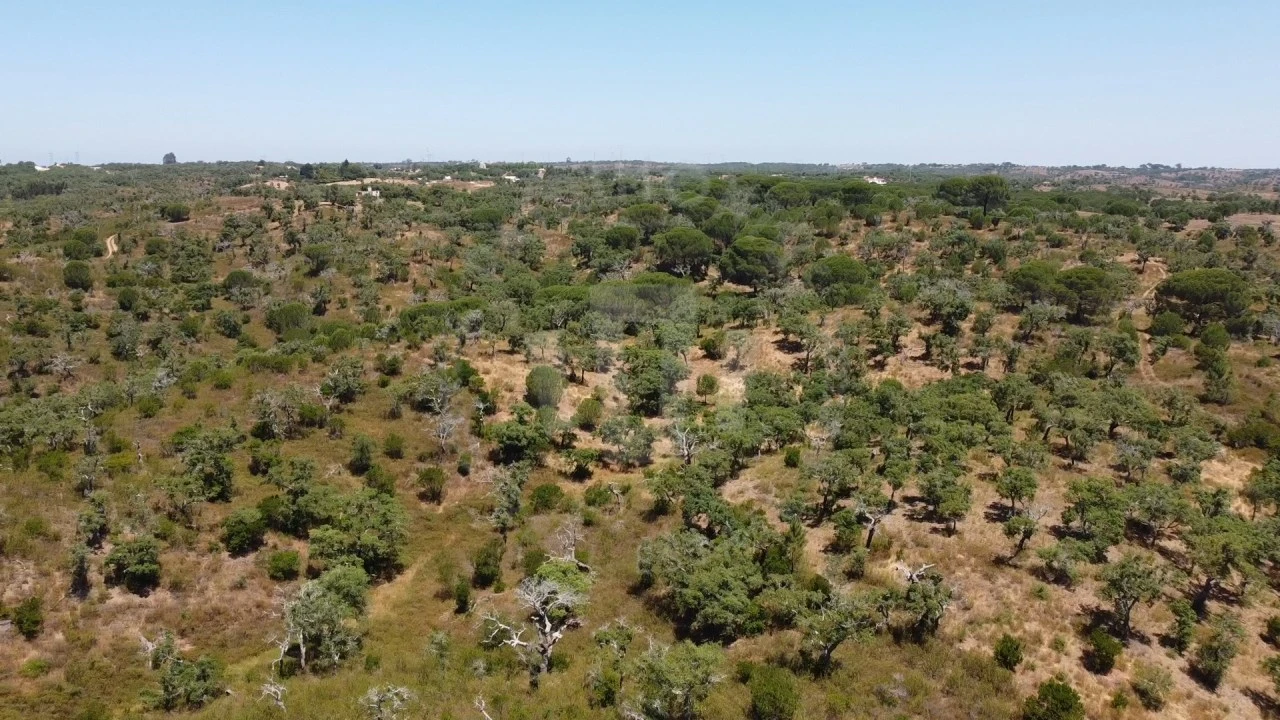 Quinta para Venda em São Francisco da Serra Foto 11