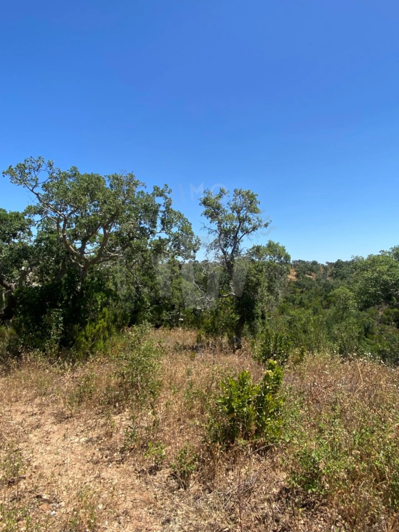 Quinta para Venda em São Francisco da Serra Foto 15