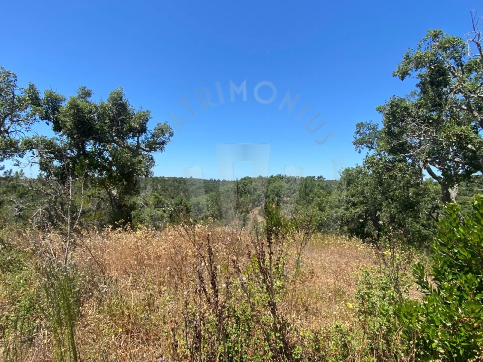 Quinta para Venda em São Francisco da Serra Foto 17