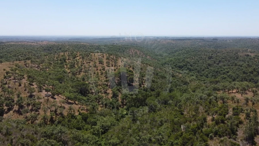 Quinta para Venda em São Francisco da Serra Foto 1