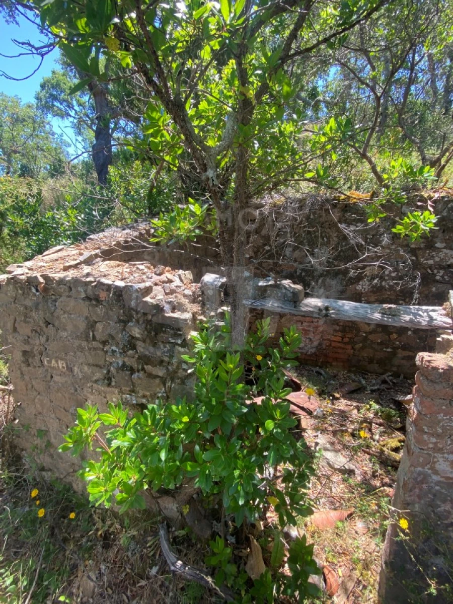 Quinta para Venda em São Francisco da Serra Foto 3