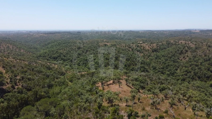 Quinta para Venda em São Francisco da Serra Foto 4