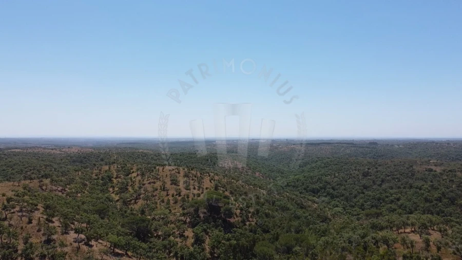 Quinta para Venda em São Francisco da Serra Foto 5