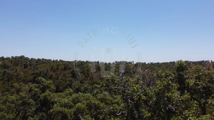 Quinta para Venda em São Francisco da Serra Foto 6