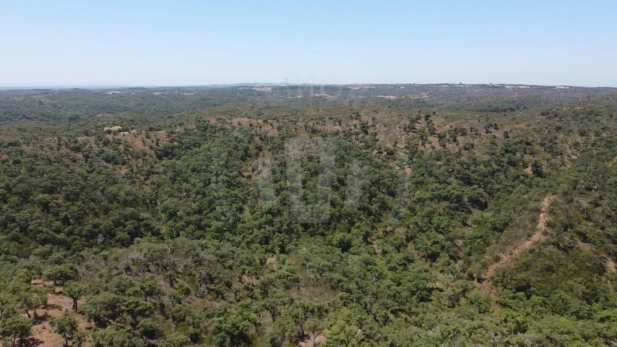 Quinta para Venda em São Francisco da Serra Foto 7