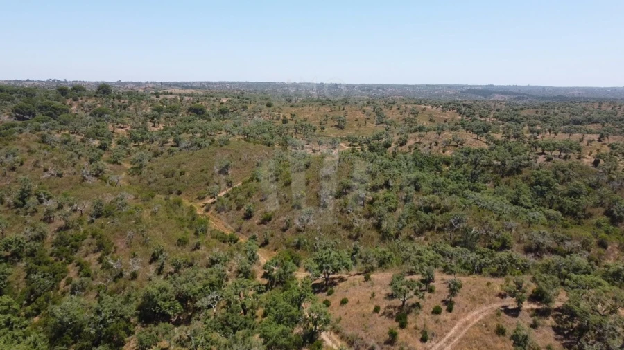 Quinta para Venda em São Francisco da Serra Foto 8