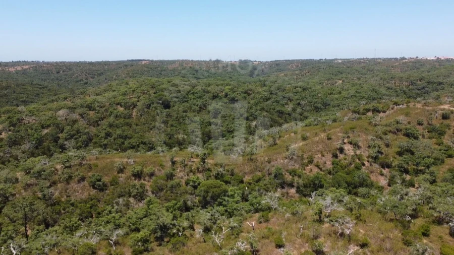 Quinta para Venda em São Francisco da Serra Foto 10