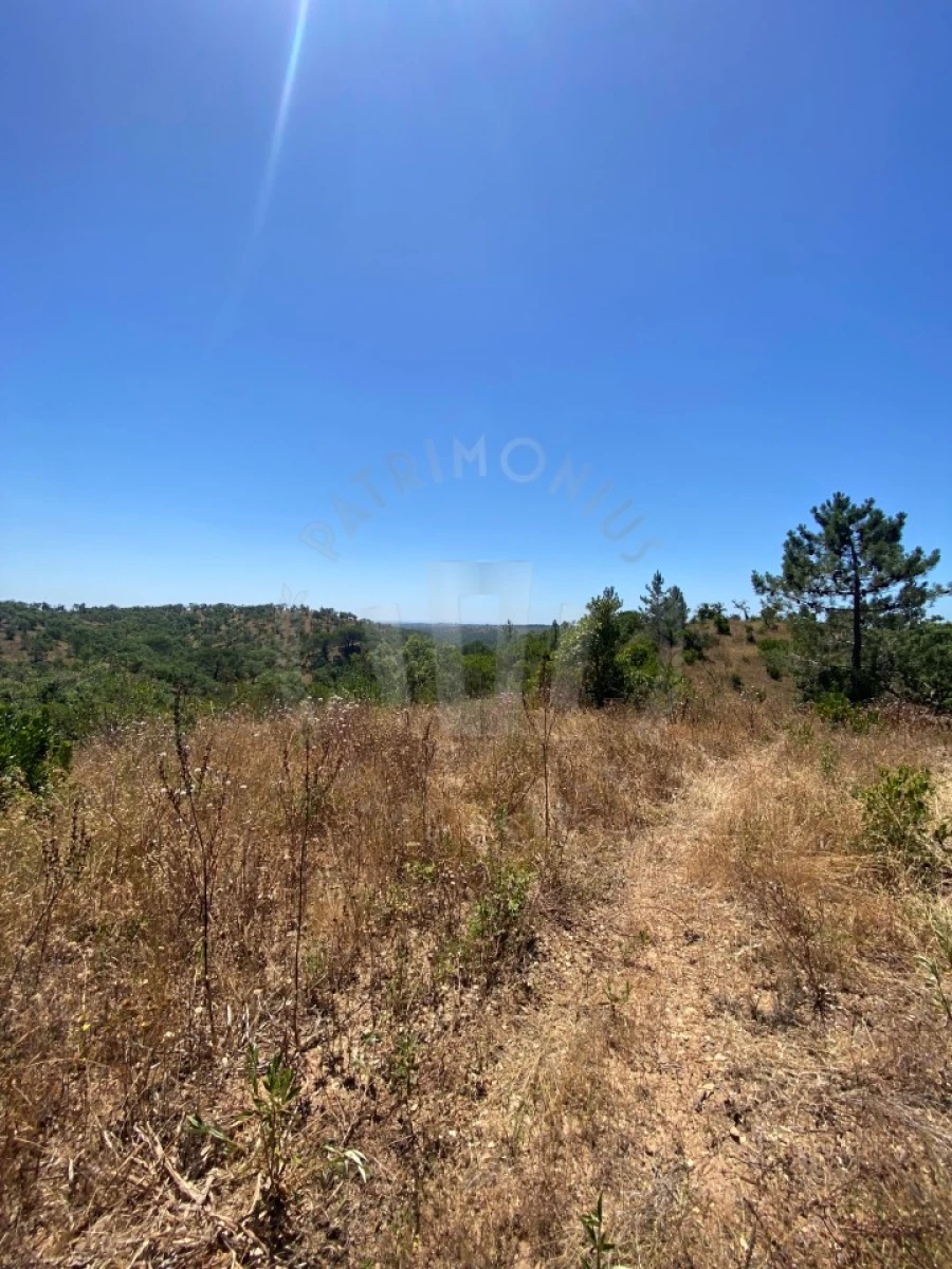 Quinta para Venda em São Francisco da Serra Foto 12