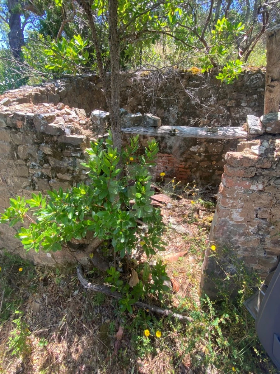 Quinta para Venda em São Francisco da Serra Foto 13