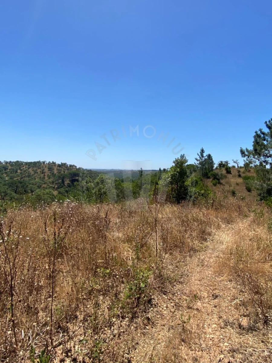 Quinta para Venda em São Francisco da Serra Foto 14