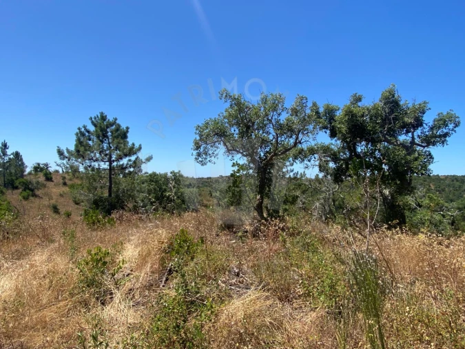 Quinta para Venda em São Francisco da Serra Foto 18