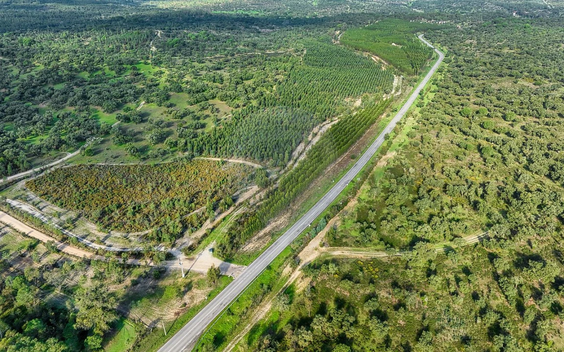 Terreno para Venda em São Jose da Lamarosa Foto 17