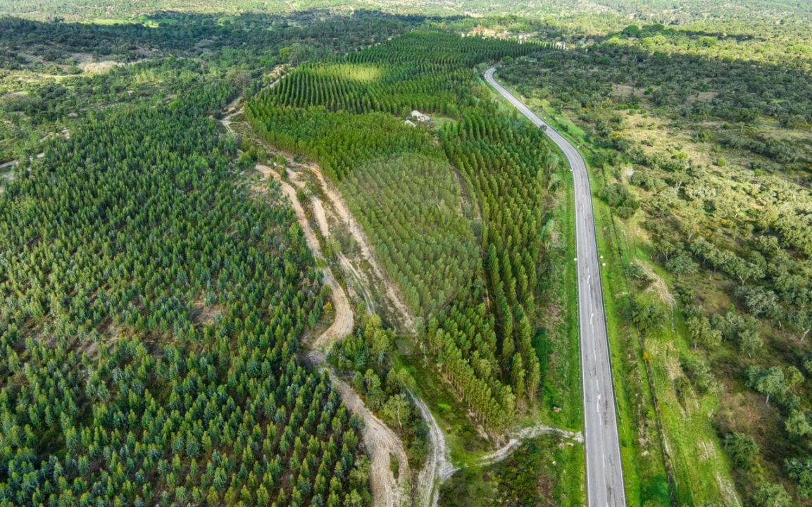 Terreno para Venda em São Jose da Lamarosa Foto 12