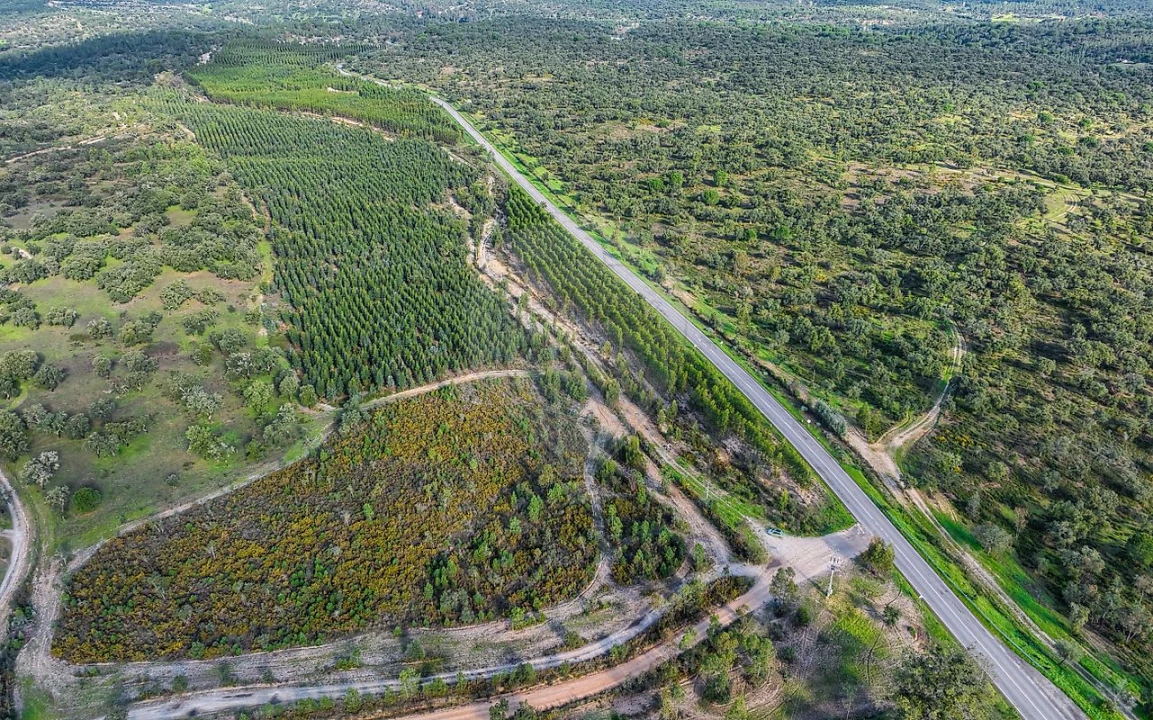 Terreno para Venda em São Jose da Lamarosa Foto 18