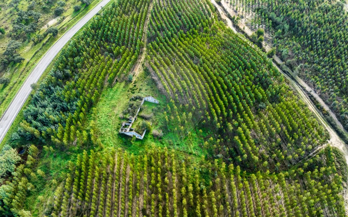 Terreno para Venda em São Jose da Lamarosa Foto 9