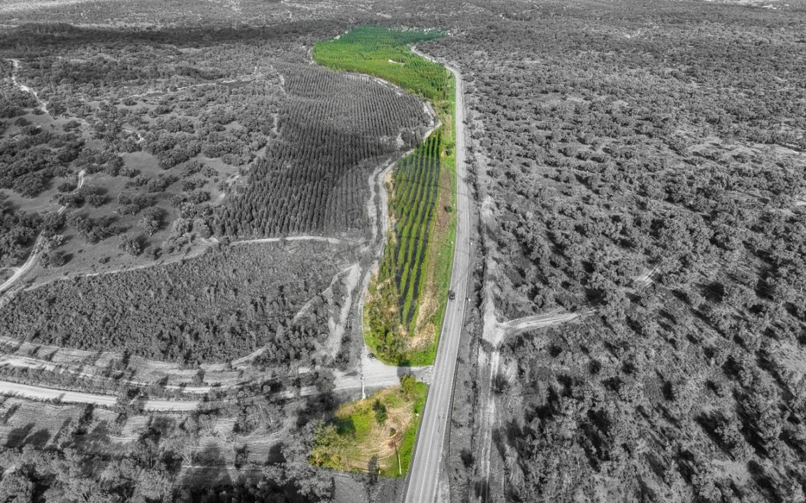 Terreno para Venda em São Jose da Lamarosa Foto 2