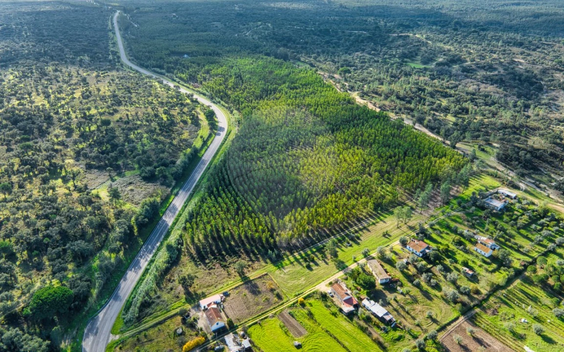 Terreno para Venda em São Jose da Lamarosa Foto 3