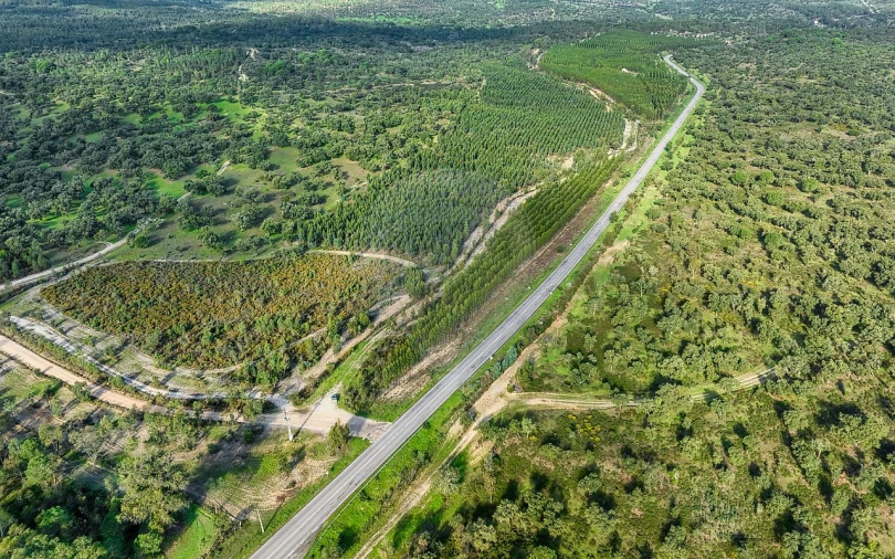 Terreno para Venda em São Jose da Lamarosa Foto 17