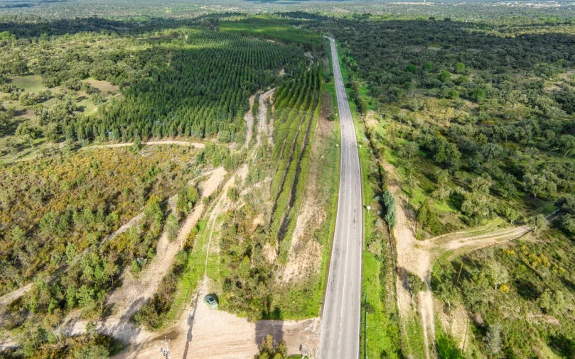 Terreno para Venda em São Jose da Lamarosa Foto 16
