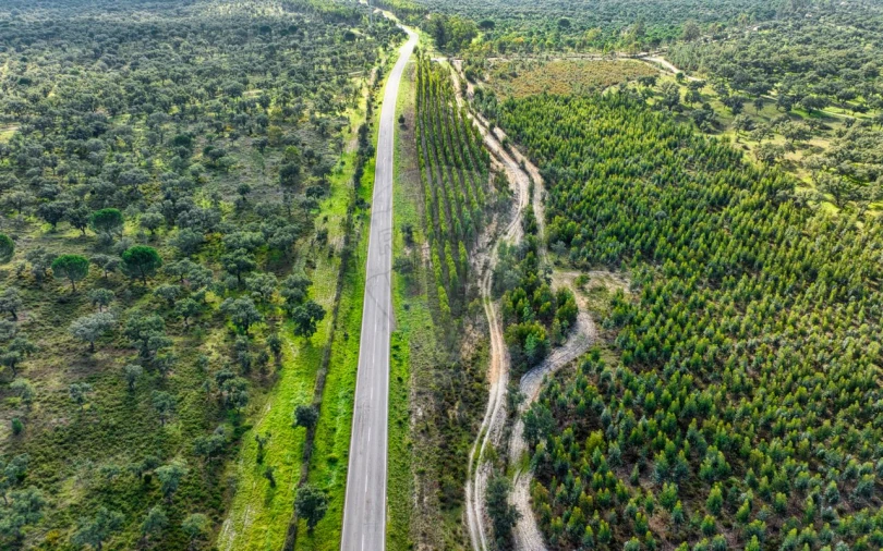 Terreno para Venda em São Jose da Lamarosa Foto 15