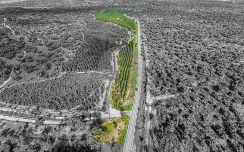 Terreno para Venda em São Jose da Lamarosa Foto 2