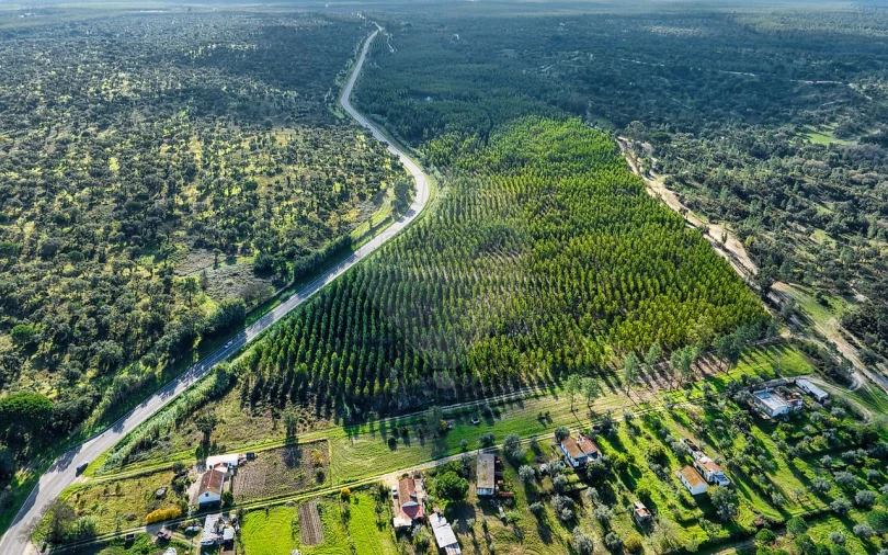 Terreno para Venda em São Jose da Lamarosa Foto 22