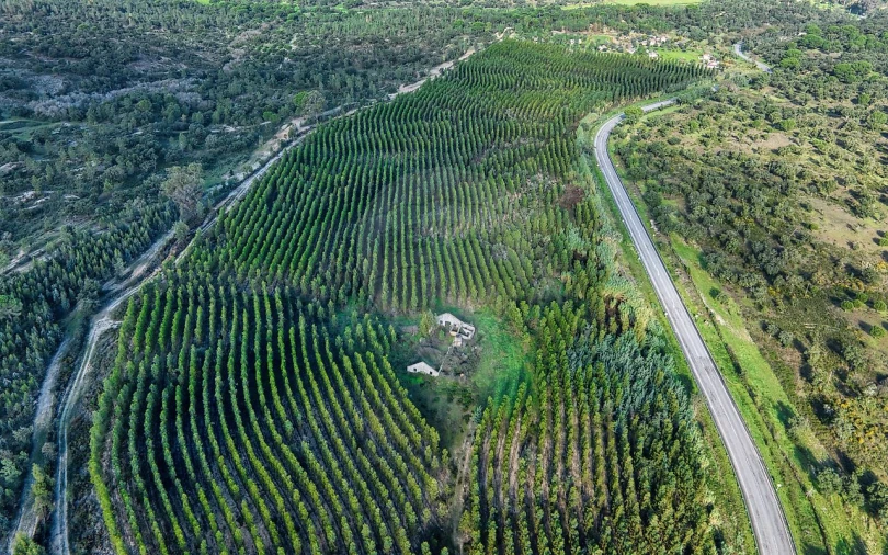 Terreno para Venda em São Jose da Lamarosa Foto 20
