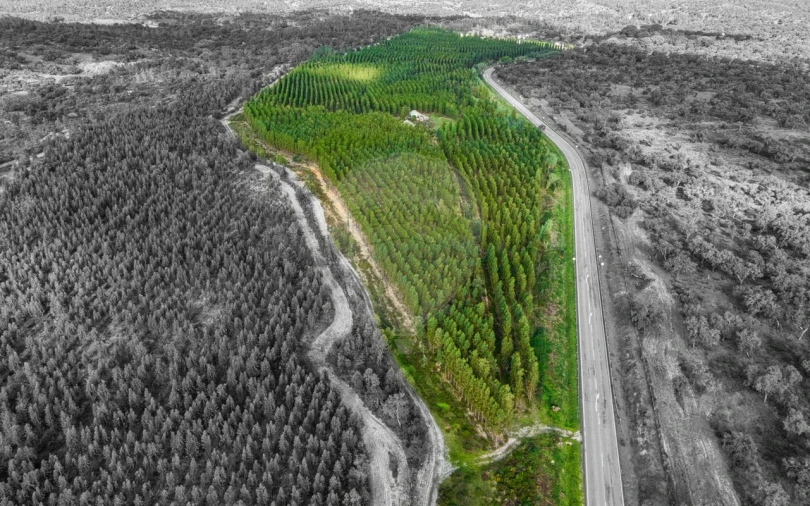 Terreno para Venda em São Jose da Lamarosa Foto 11