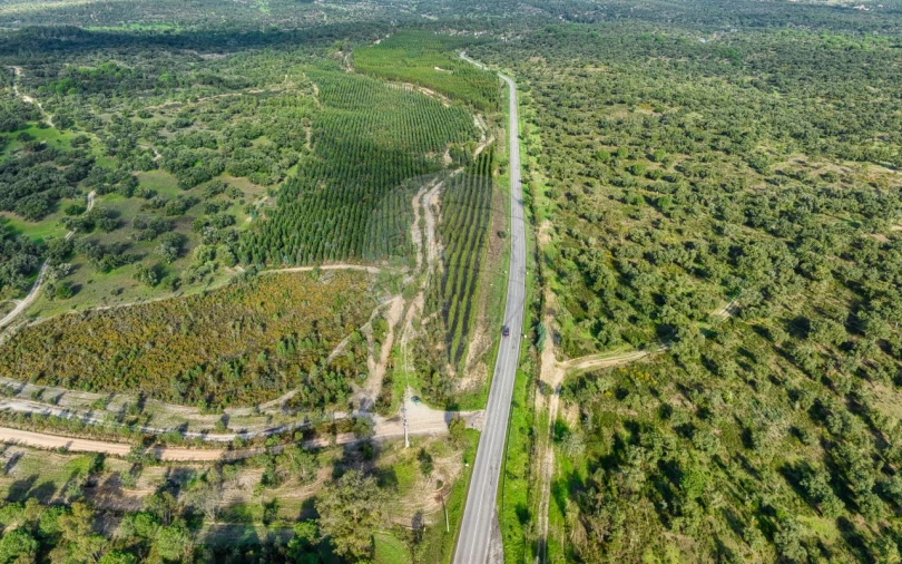 Terreno para Venda em São Jose da Lamarosa Foto 13