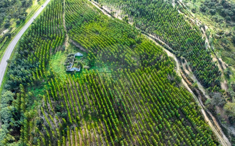 Terreno para Venda em São Jose da Lamarosa Foto 8