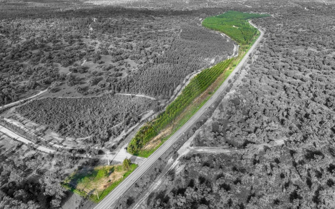 Terreno para Venda em São Jose da Lamarosa Foto 1