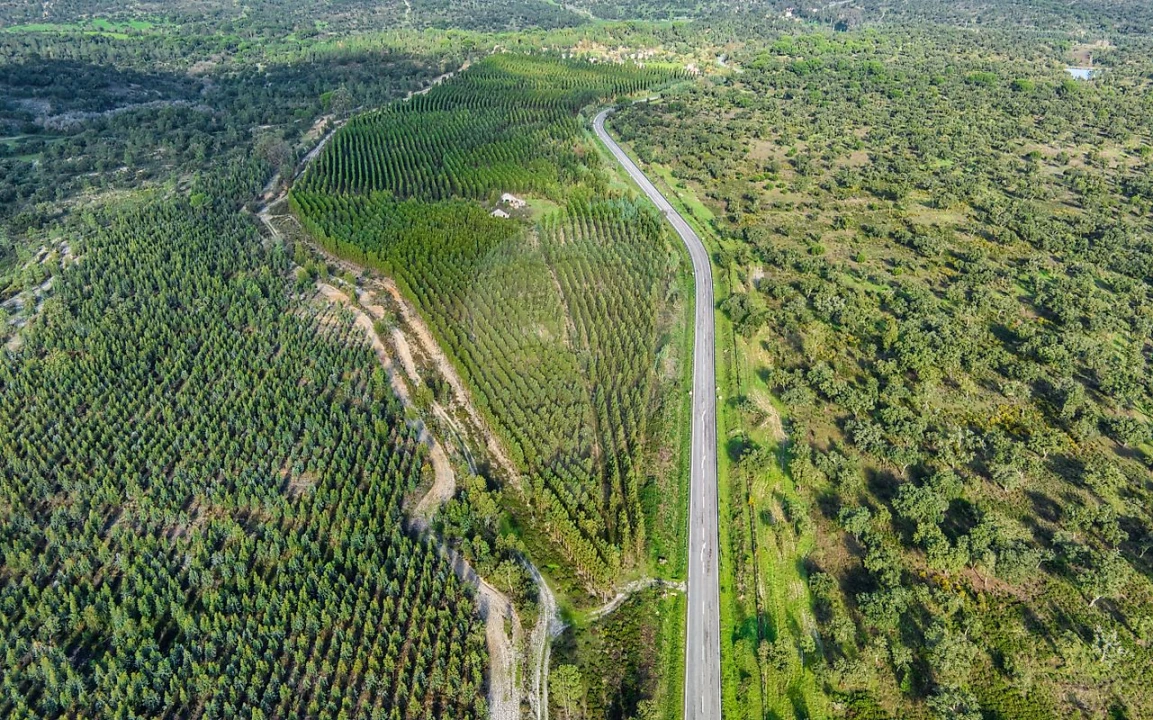 Terreno para Venda em São Jose da Lamarosa Foto 19