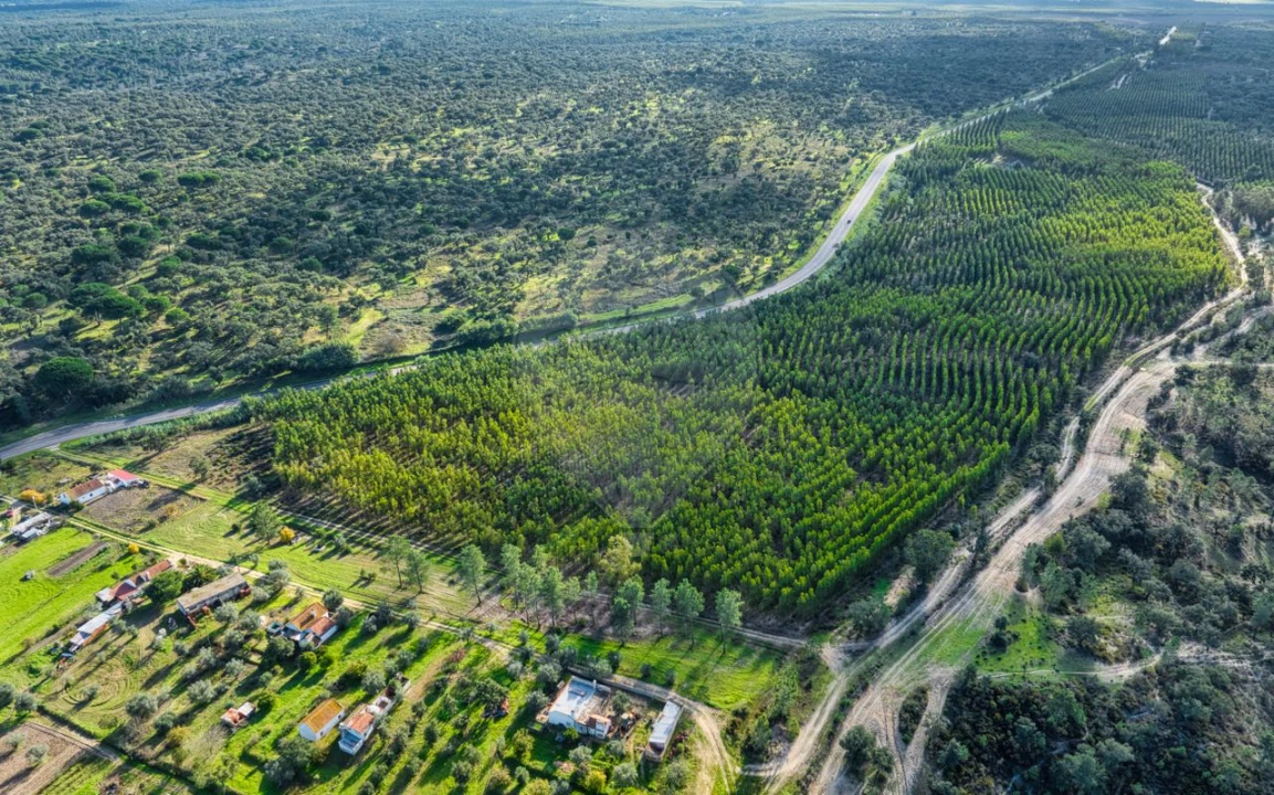 Terreno para Venda em São Jose da Lamarosa Foto 4