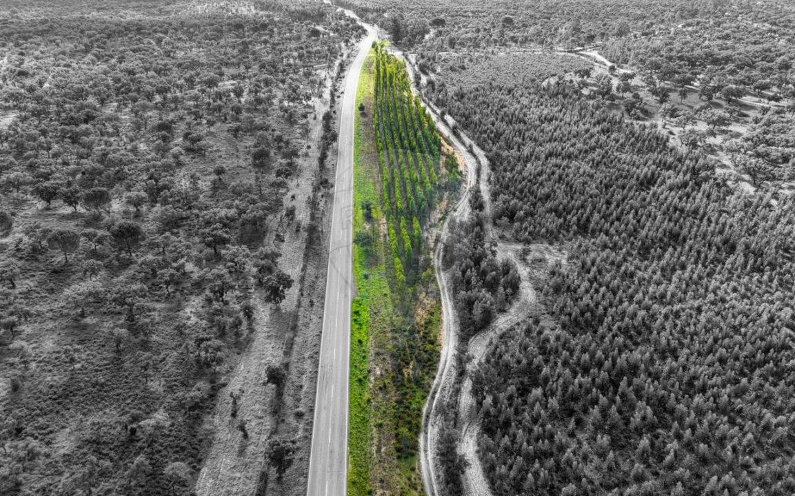 Terreno para Venda em São Jose da Lamarosa Foto 14