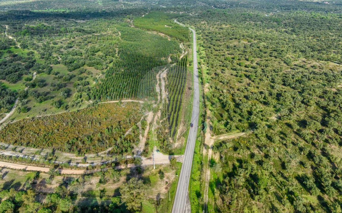Terreno para Venda em São Jose da Lamarosa Foto 13
