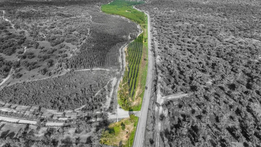 Terreno para Venda em São Jose da Lamarosa