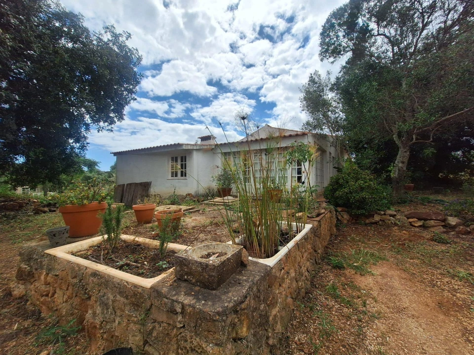 Moradia T3 para Venda em Silves Foto 50