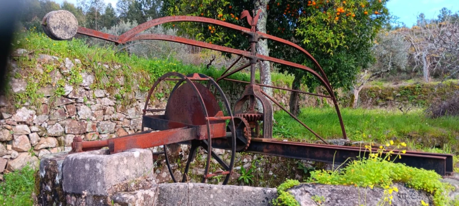 Terreno para Venda em Mação, Penhascoso e Aboboreira Foto 2