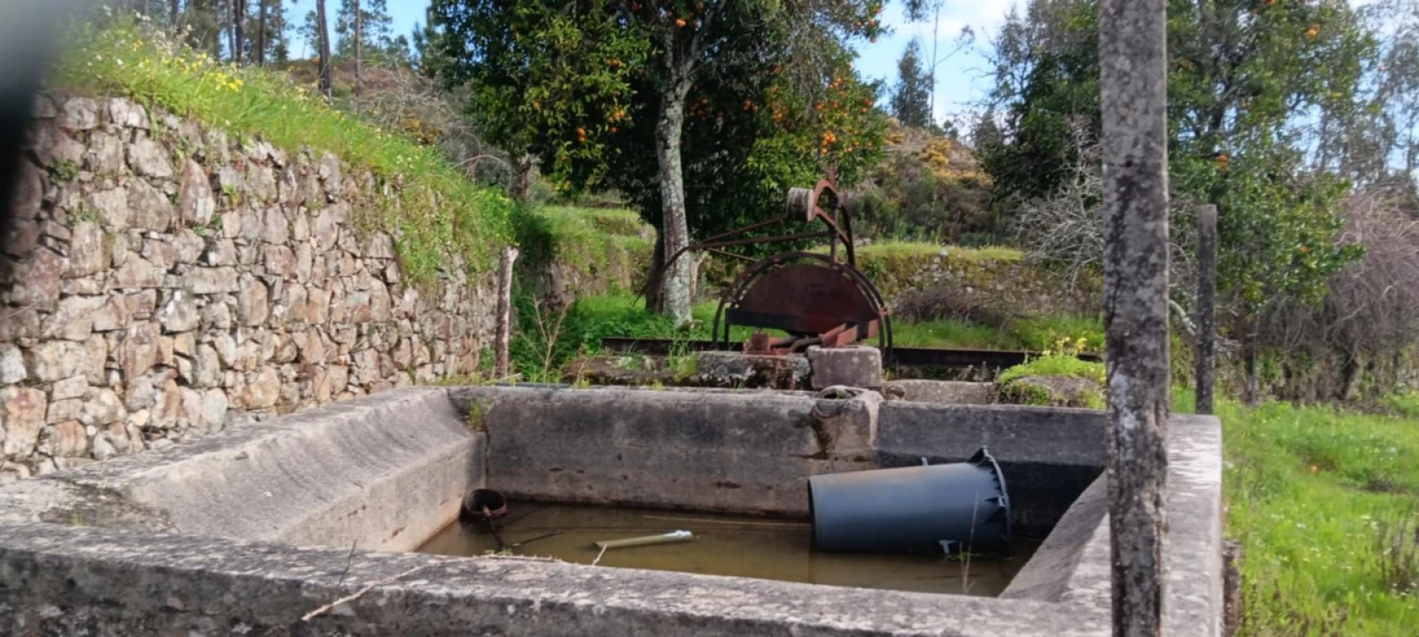 Terreno para Venda em Mação, Penhascoso e Aboboreira Foto 9