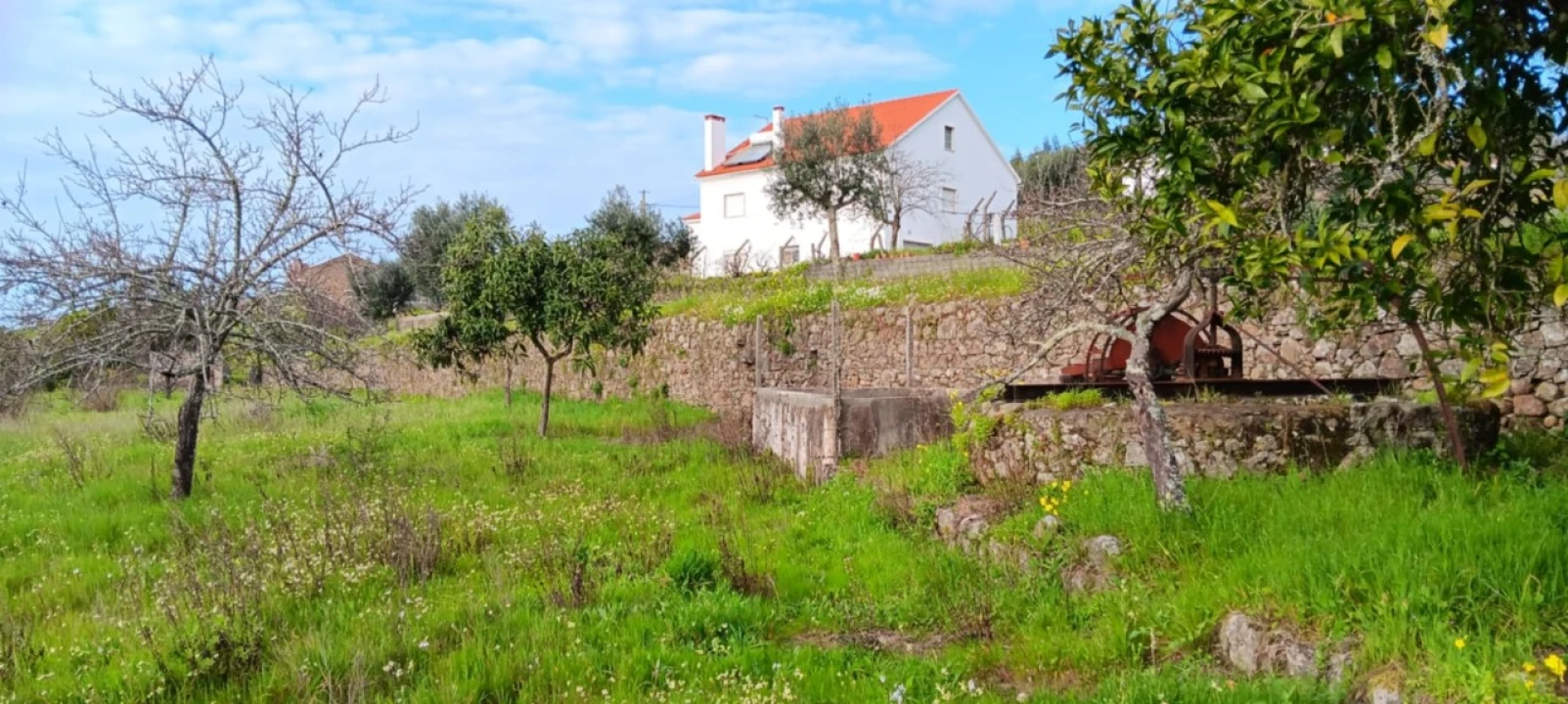 Terreno para Venda em Mação, Penhascoso e Aboboreira Foto 11